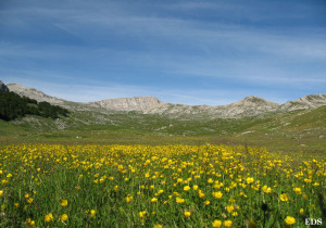 verso le montagne